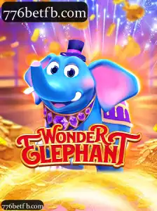 WonderElephant
